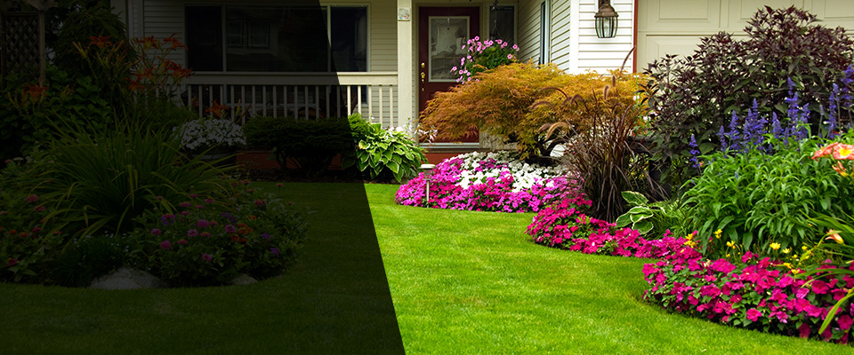 Hermann Landscapers