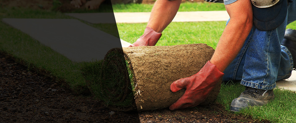 Hermann Landscapers